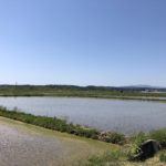 鈴木